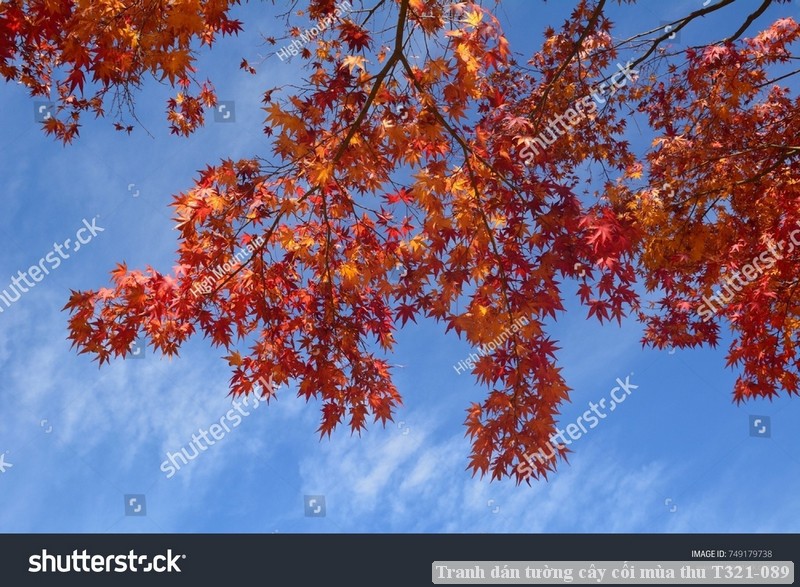 Tranh dán tường cây cối mùa thu T321-089